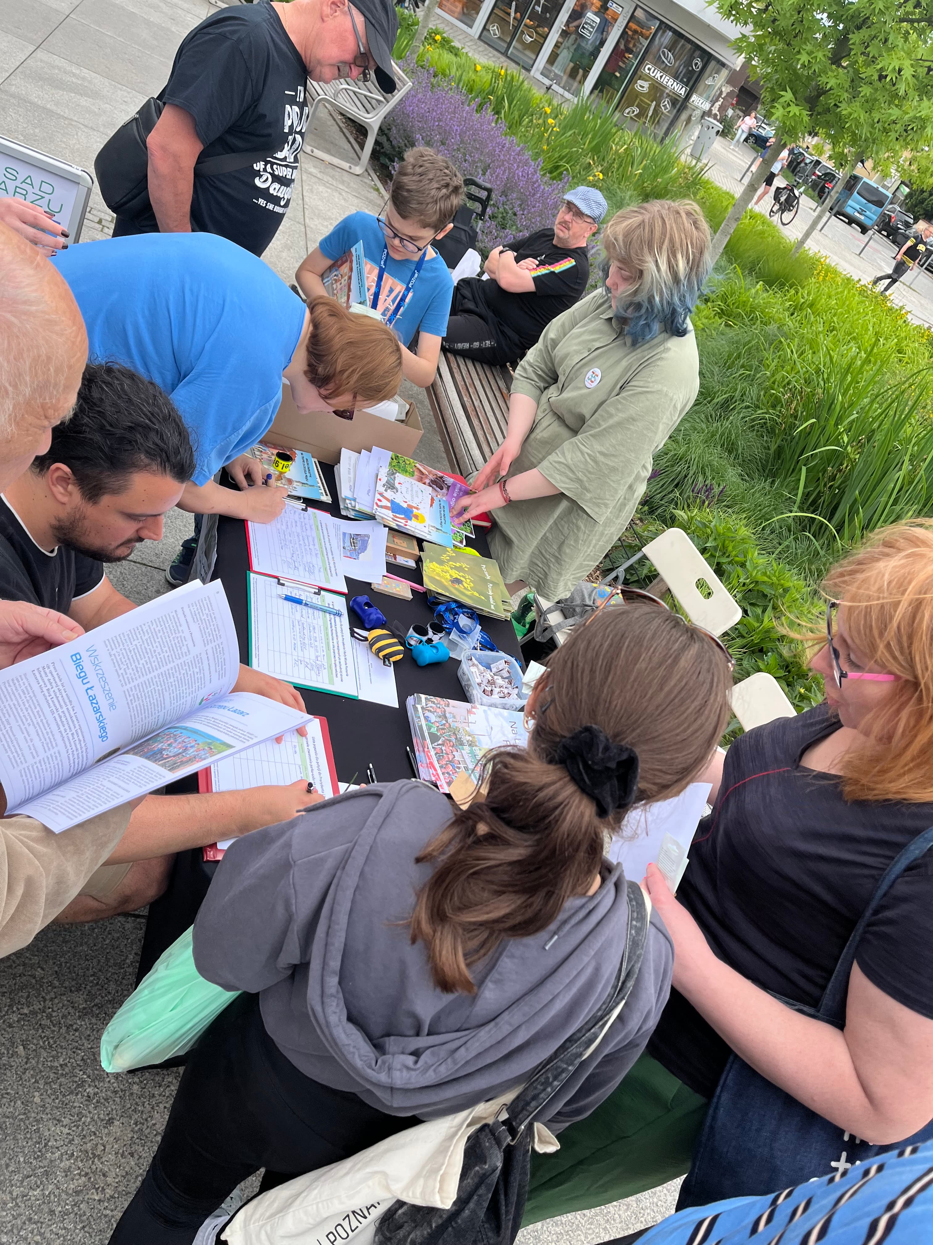 Zieleń w kwartale Hetmańska–Dmowskiego