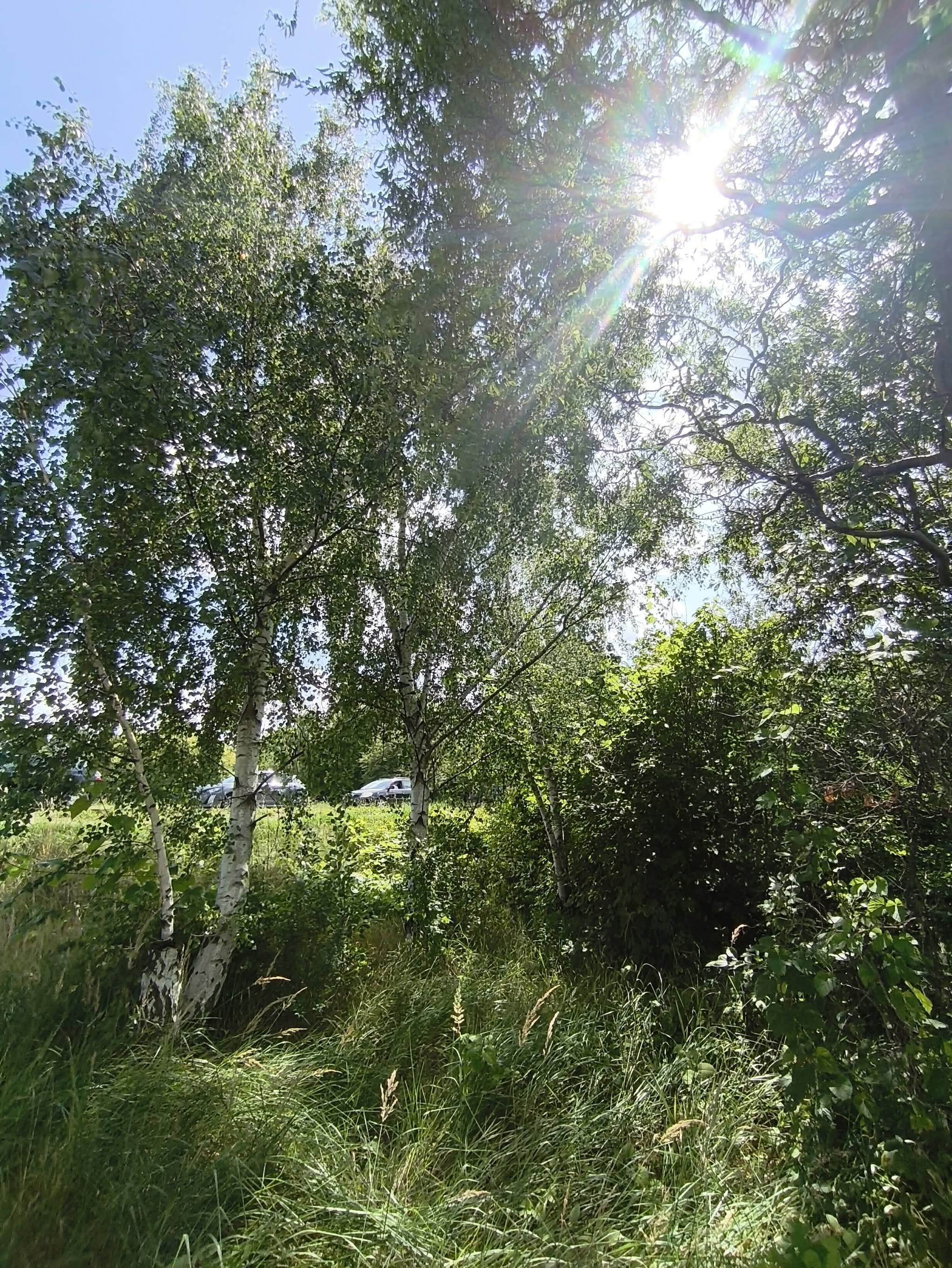 Galeria Project8 – zdjęcie 1