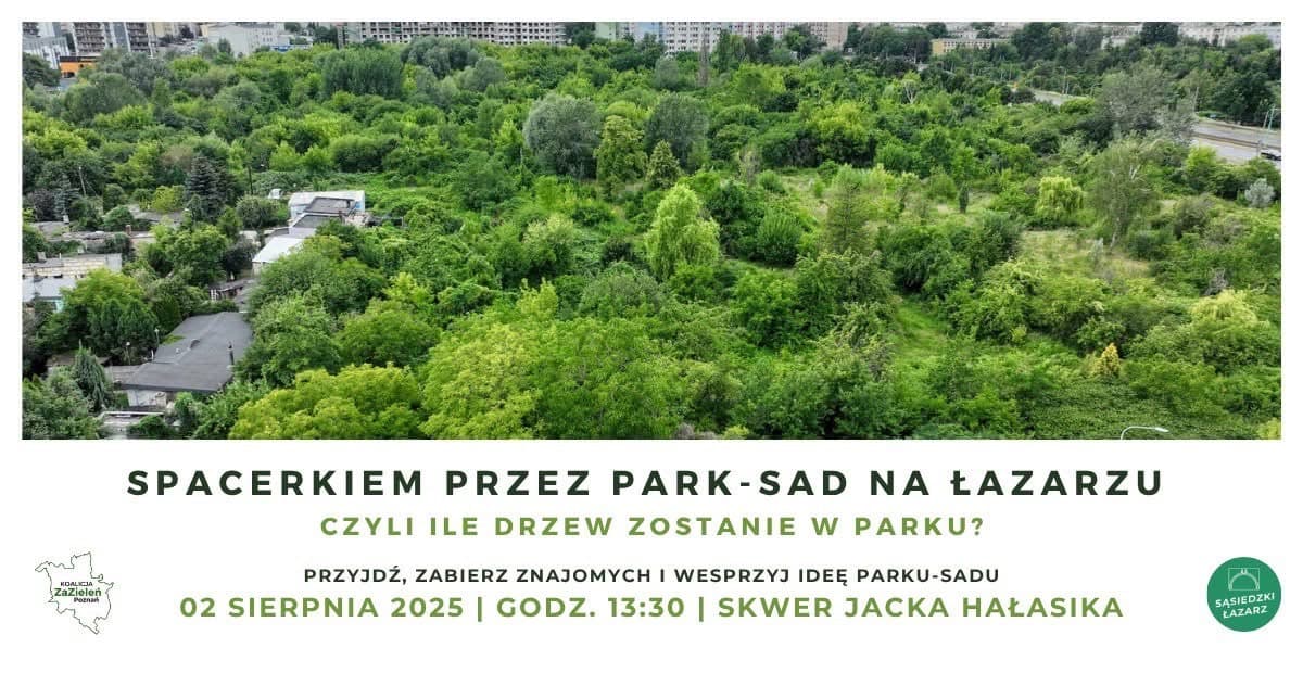 Galeria Project8 – zdjęcie 6