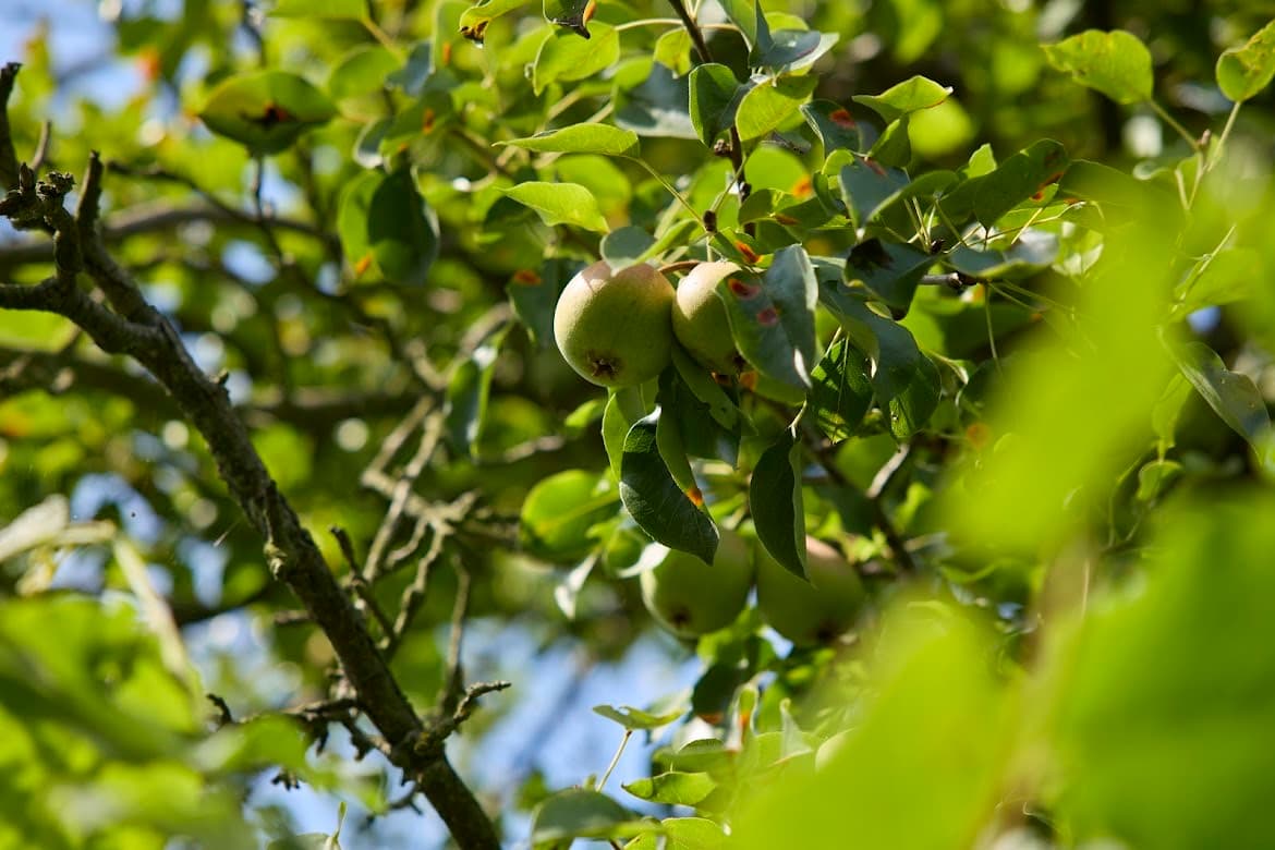 Zdjęcie prezentujące działania projektowe mieszkańców